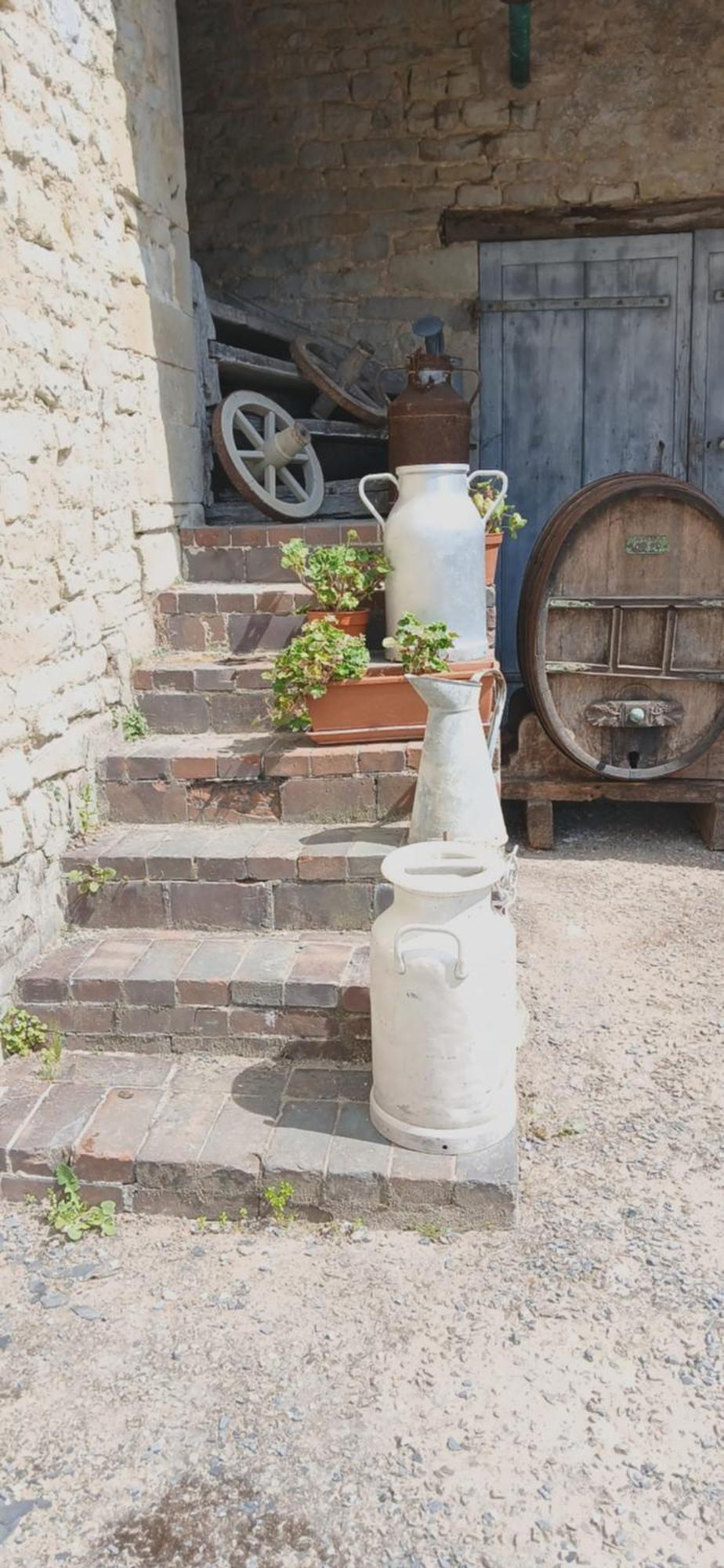 Bed and Breakfast Ferme Aux Leopards Normands Mandeville-en-Bessin Exteriér fotografie
